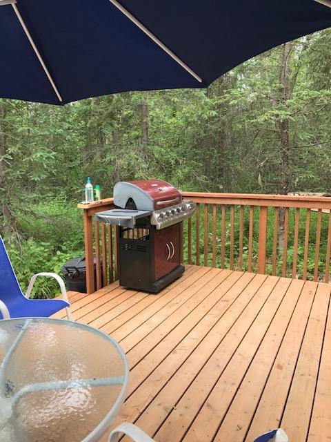 Villa Peaceful Talkeetna Getaway #1 Extérieur photo